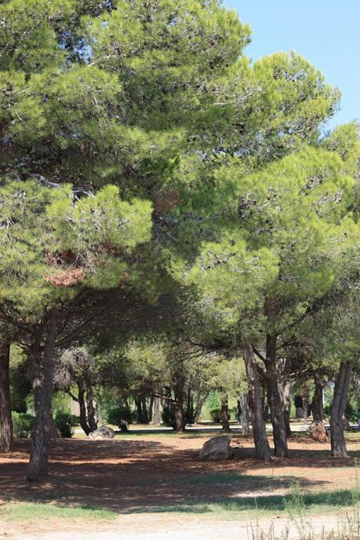 הוילה ריומאר Casa Mireia I Paula מראה חיצוני תמונה
